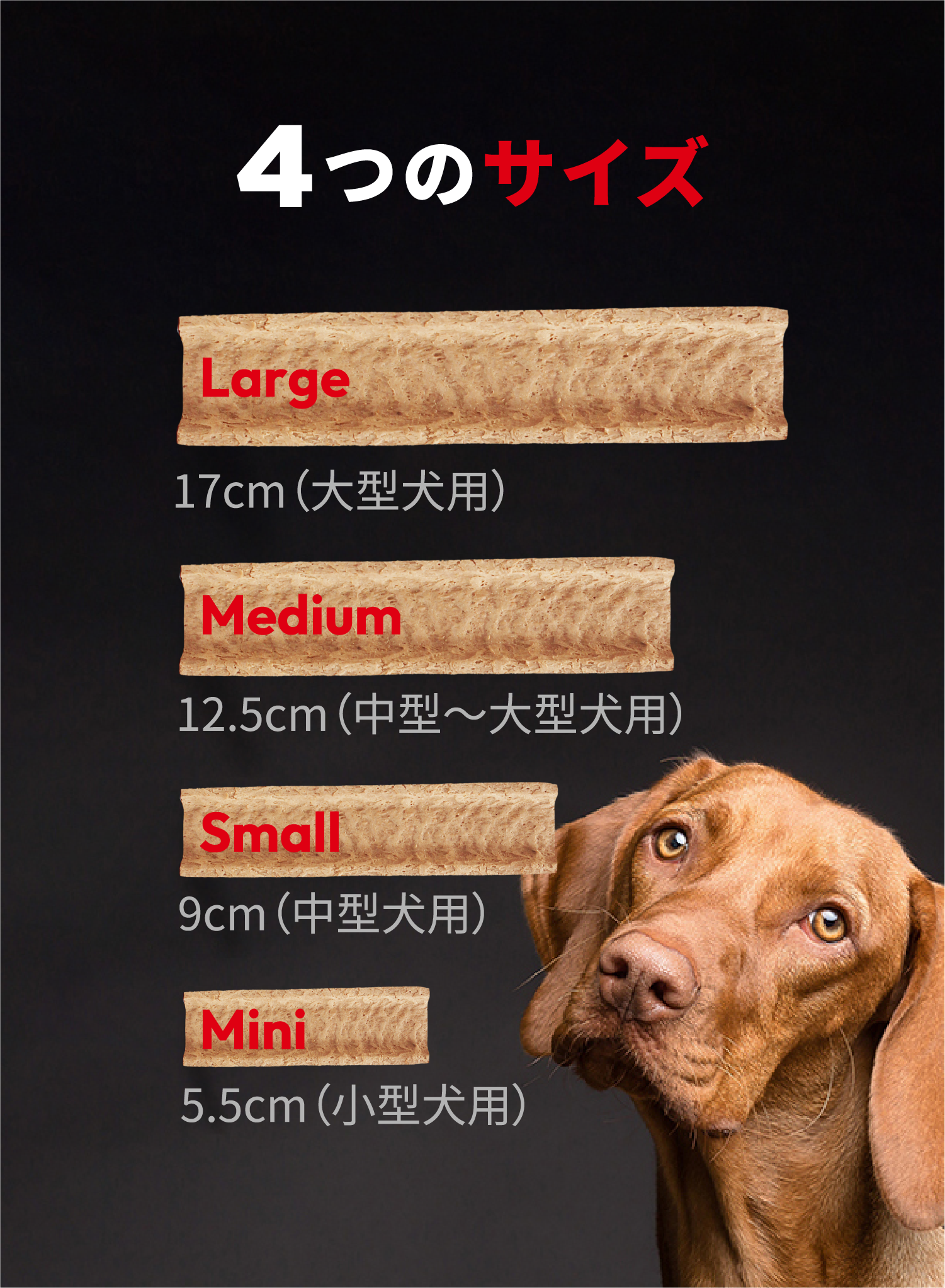 4つのサイズ